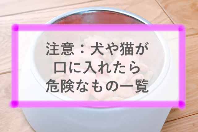 注意！犬や猫が口に入れたら危険なもの一覧